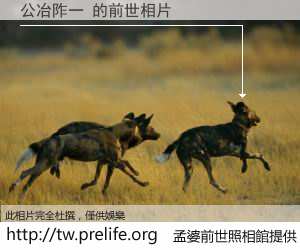 公冶阼一 的前世相片