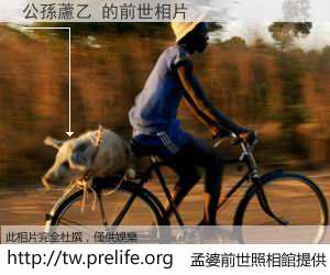 公孫藘乙 的前世相片