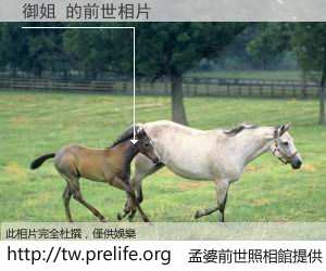 御姐 的前世相片