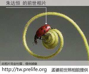 朱达恒 的前世相片