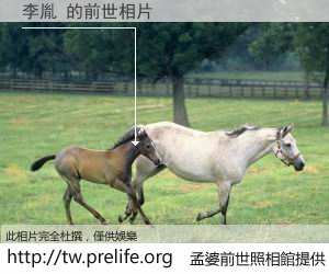 李胤 的前世相片