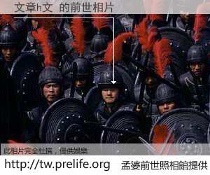 文章h文 的前世相片