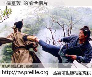 楊璽芳 的前世相片