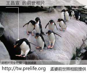 王昌宣 的前世相片