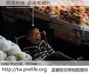 网易哟徐 的前世相片