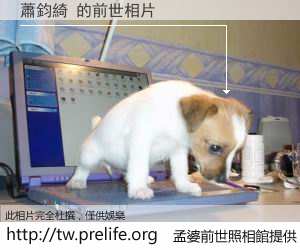 蕭鈞綺 的前世相片