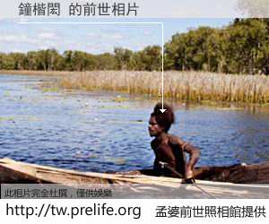 鐘楷閎 的前世相片