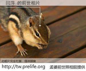 闫萍 的前世相片