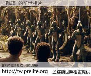 陈瑾 的前世相片