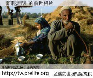 離職證明 的前世相片