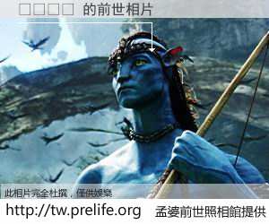 박스젠가 的前世相片