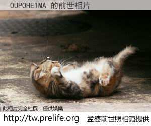 0UPOHE1MA 的前世相片