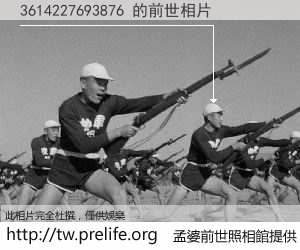 3614227693876 的前世相片