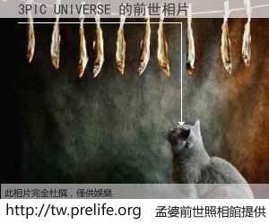 3PIC UNIVERSE 的前世相片