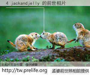 4 jackandjelly 的前世相片