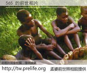 565 的前世相片