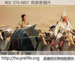 803 373-0821 的前世相片
