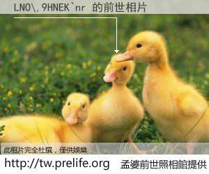 LNO\,9HNEK`nr 的前世相片