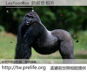 LeeYoonWoo 的前世相片