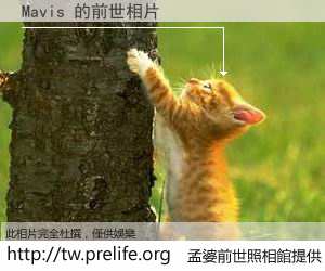 Mavis 的前世相片