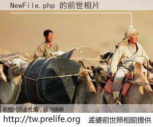 NewFile.php 的前世相片