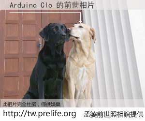 Arduino Clo 的前世相片