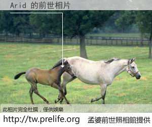 Arid 的前世相片