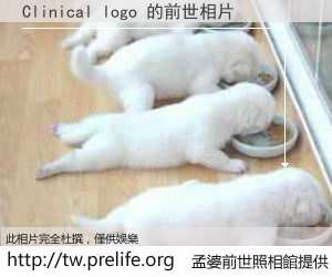 Clinical logo 的前世相片