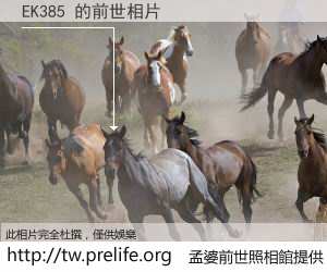 EK385 的前世相片