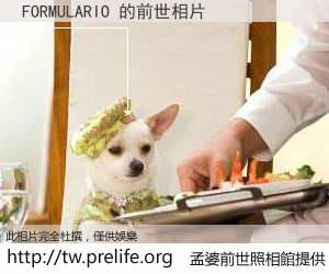 FORMULARIO 的前世相片