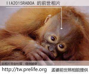 IIA2015RABOA 的前世相片