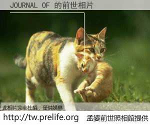 JOURNAL OF 的前世相片