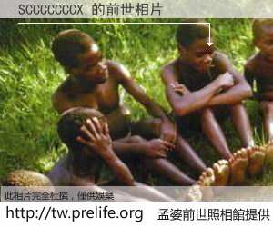 SCCCCCCCX 的前世相片