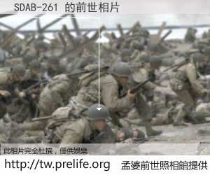 SDAB-261 的前世相片