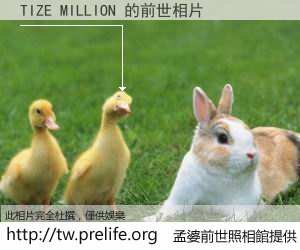 TIZE MILLION 的前世相片