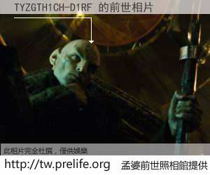 TYZGTH1CH-D1RF 的前世相片