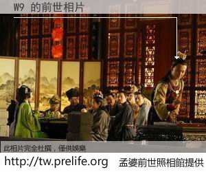 W9 的前世相片