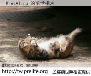 WresAI.ru 的前世相片