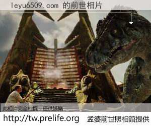 leyu6509.com 的前世相片