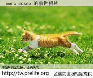 meno mosso 的前世相片