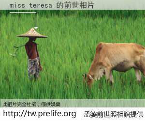 miss teresa 的前世相片