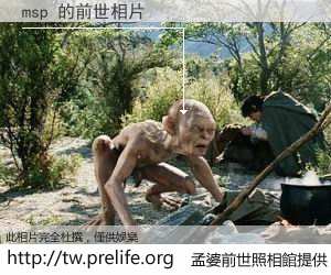 msp 的前世相片