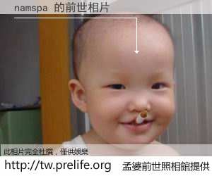 namspa 的前世相片