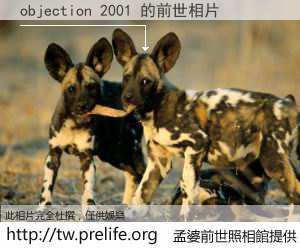 objection 2001 的前世相片