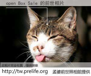 open Box Sale 的前世相片