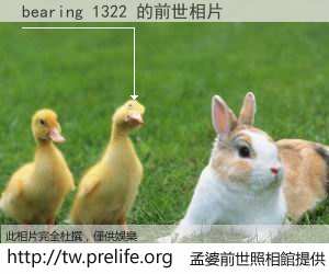 bearing 1322 的前世相片