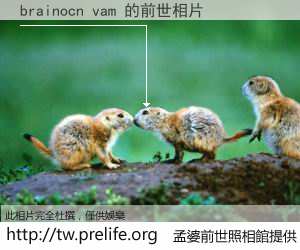 brainocn vam 的前世相片