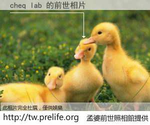 cheq lab 的前世相片