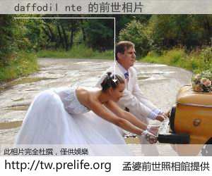 daffodil nte 的前世相片