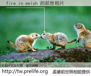 fire in welsh 的前世相片
